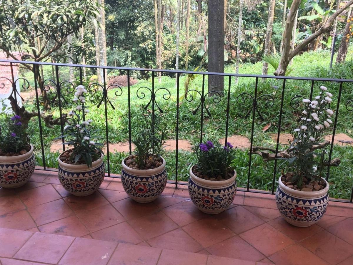 Tea Terrace Vythiri Otel Wayanad Dış mekan fotoğraf