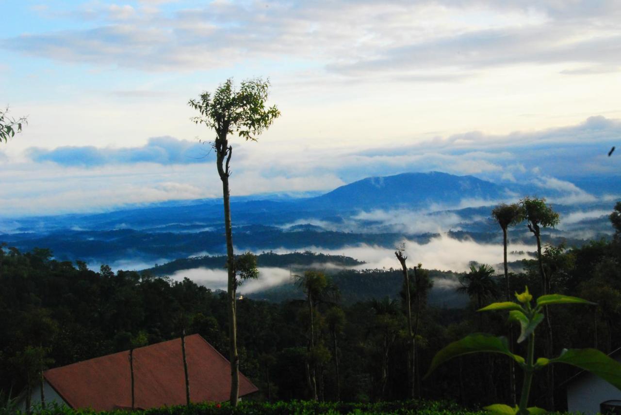 Tea Terrace Vythiri Otel Wayanad Dış mekan fotoğraf