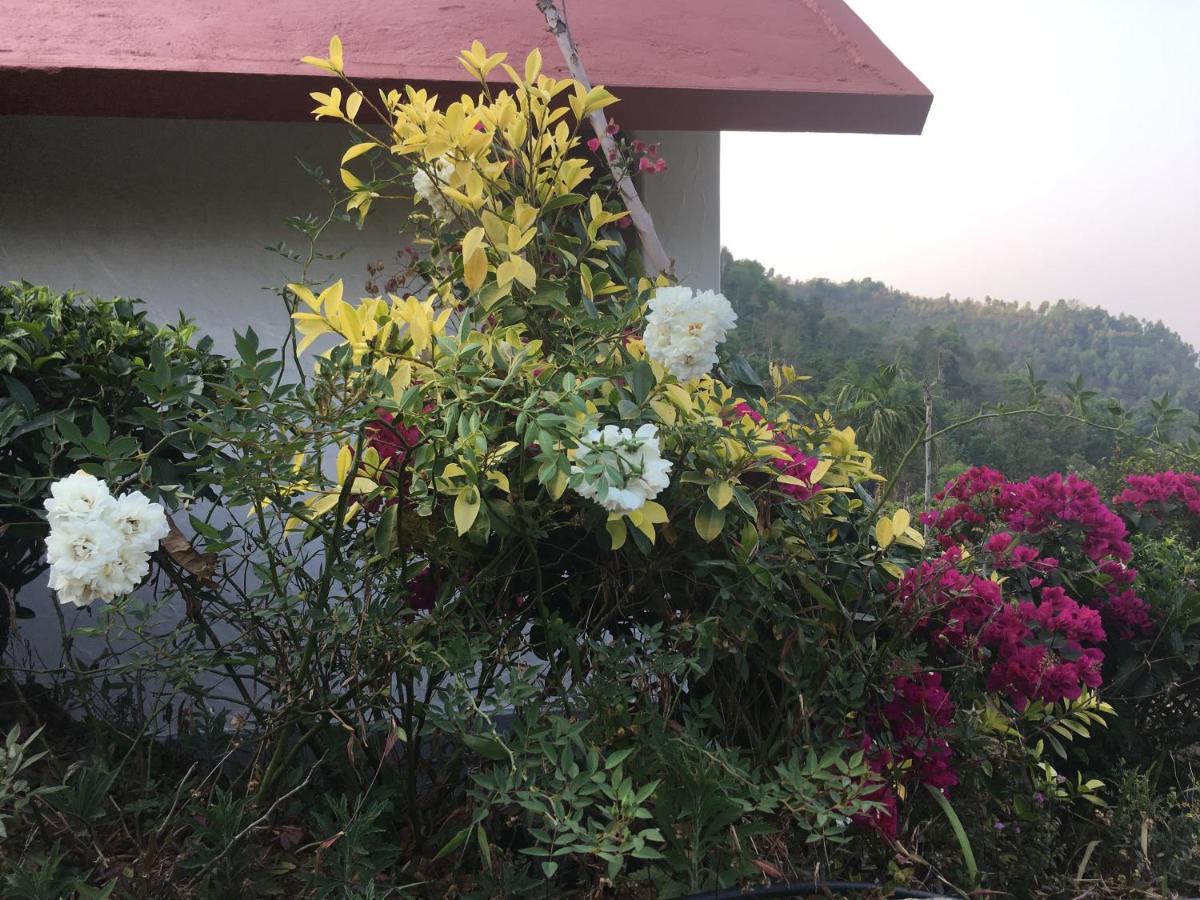 Tea Terrace Vythiri Otel Wayanad Dış mekan fotoğraf