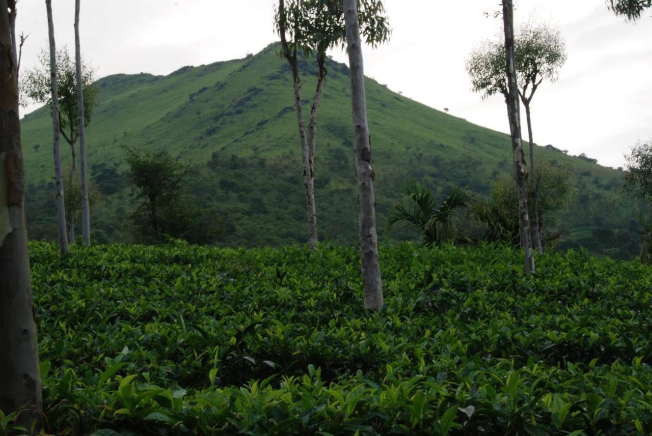 Tea Terrace Vythiri Otel Wayanad Dış mekan fotoğraf