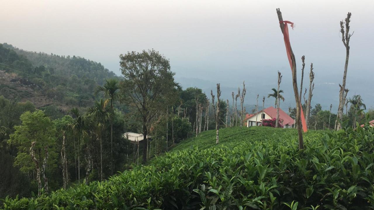 Tea Terrace Vythiri Otel Wayanad Dış mekan fotoğraf