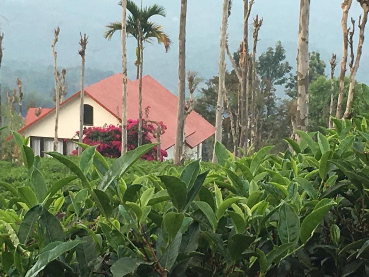 Tea Terrace Vythiri Otel Wayanad Dış mekan fotoğraf