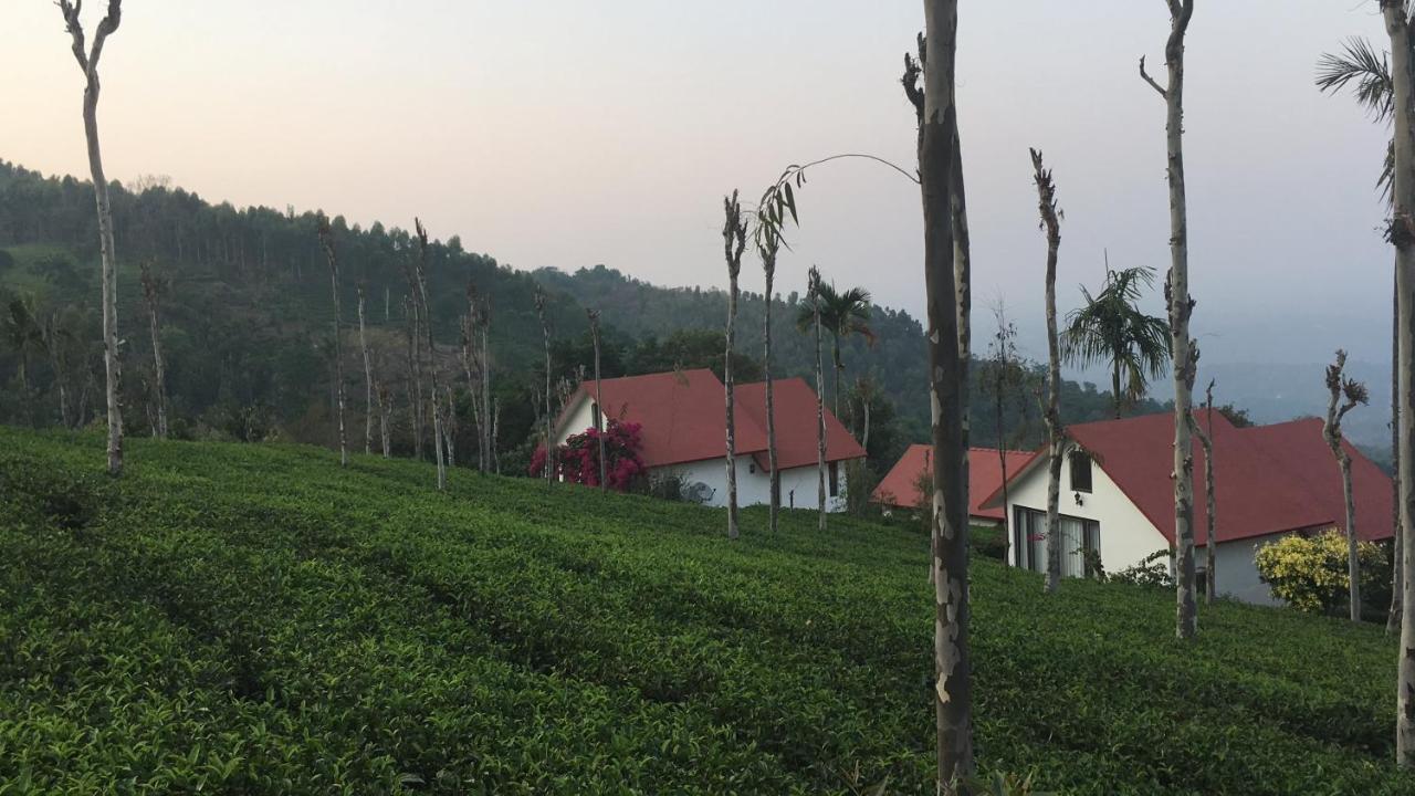 Tea Terrace Vythiri Otel Wayanad Dış mekan fotoğraf