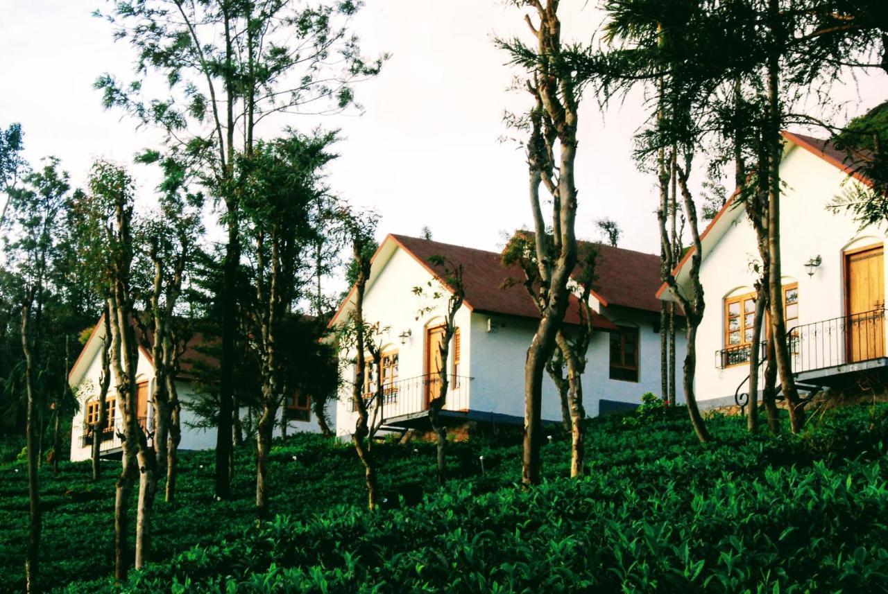 Tea Terrace Vythiri Otel Wayanad Dış mekan fotoğraf