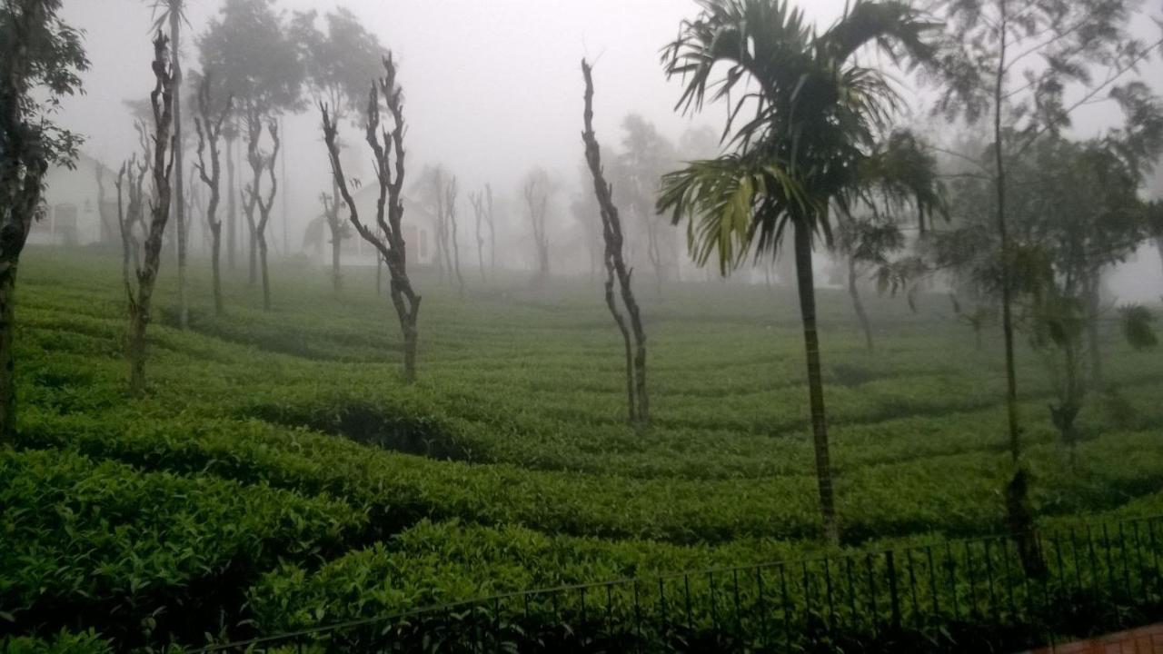 Tea Terrace Vythiri Otel Wayanad Dış mekan fotoğraf