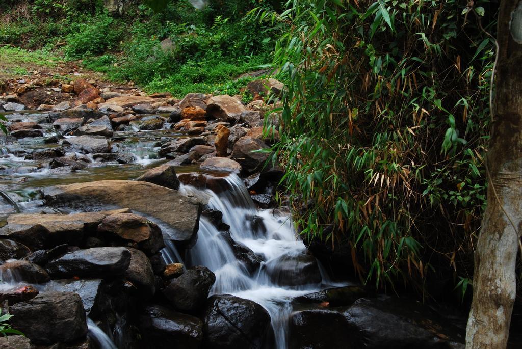 Tea Terrace Vythiri Otel Wayanad Dış mekan fotoğraf