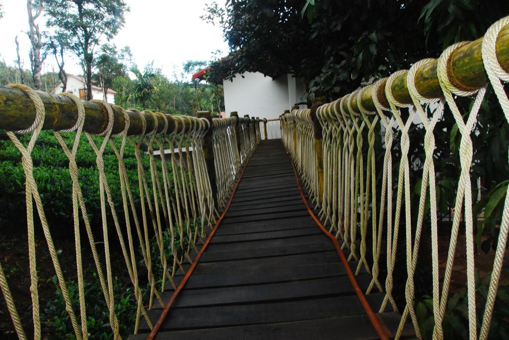 Tea Terrace Vythiri Otel Wayanad Dış mekan fotoğraf