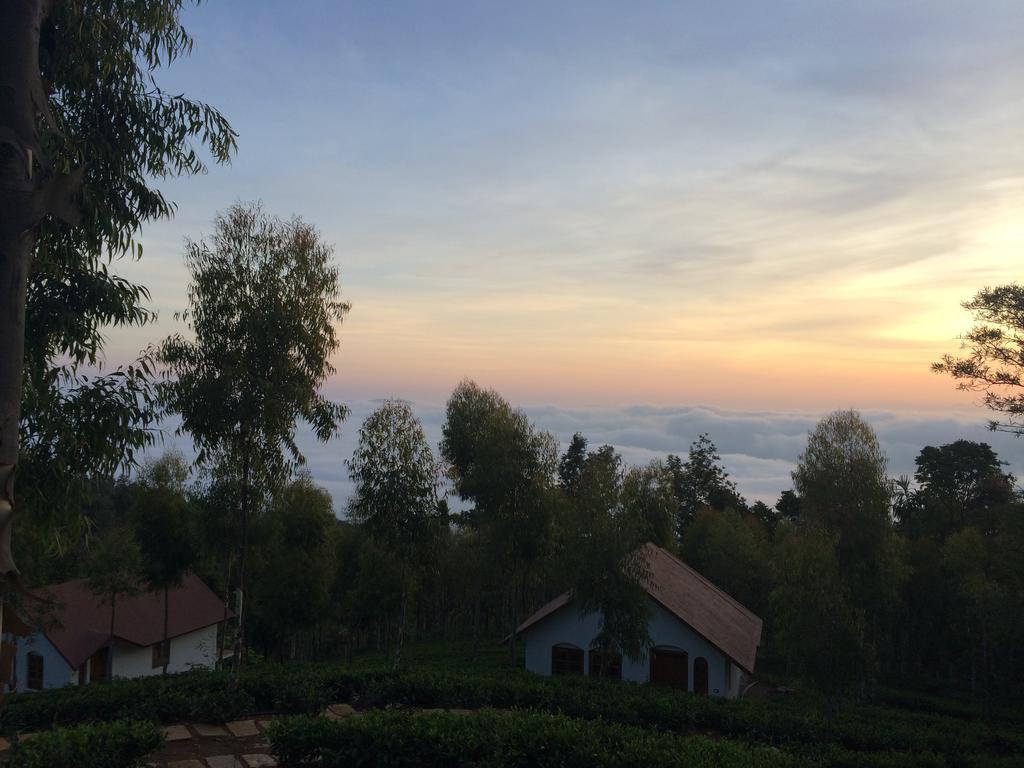 Tea Terrace Vythiri Otel Wayanad Dış mekan fotoğraf