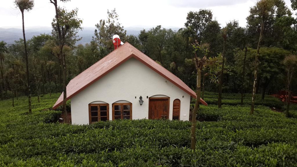 Tea Terrace Vythiri Otel Wayanad Oda fotoğraf