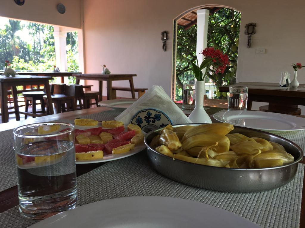 Tea Terrace Vythiri Otel Wayanad Dış mekan fotoğraf